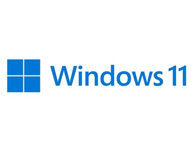 Microsoft Windows 11 Pro - Nederlands - DVD